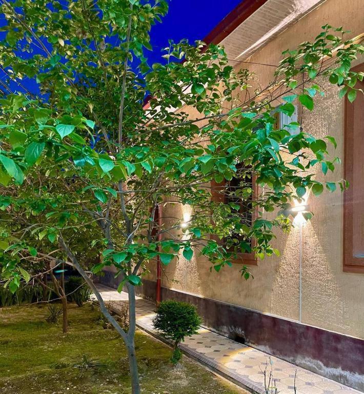 Amor Fati Hotel Tashkent Bagian luar foto
